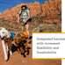 NEW Ruffwear, Approach Dog Backpack, Hiking & Camping Pack with Saddlebags, XS