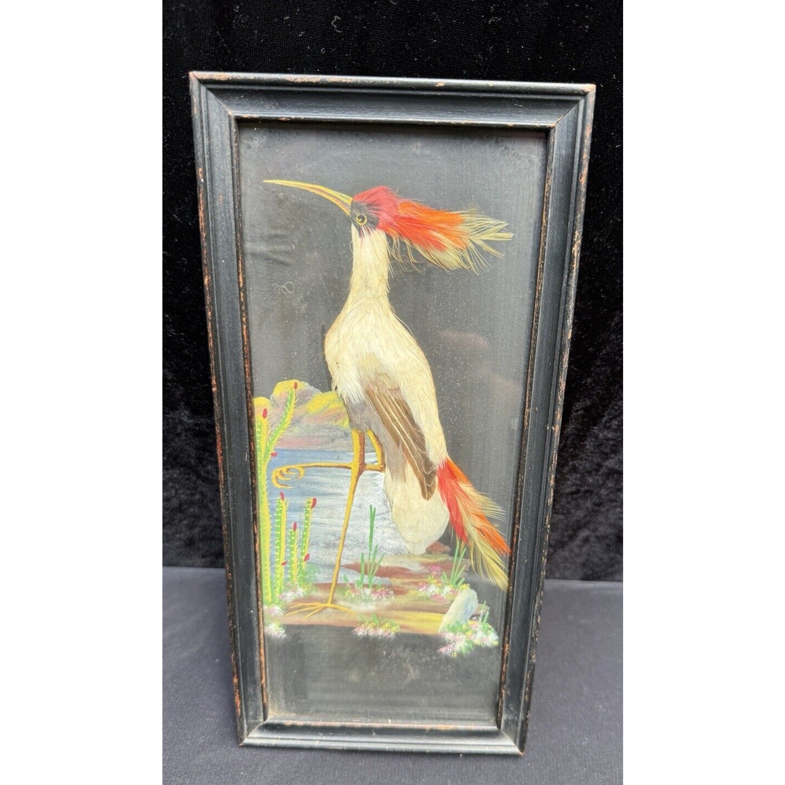 1930’s Gorgeous Hand Painted Real Feather Art Craft Bird Framed Art Piece -A92