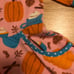 “Eleanor Rose” dress size 3-4 in great condition