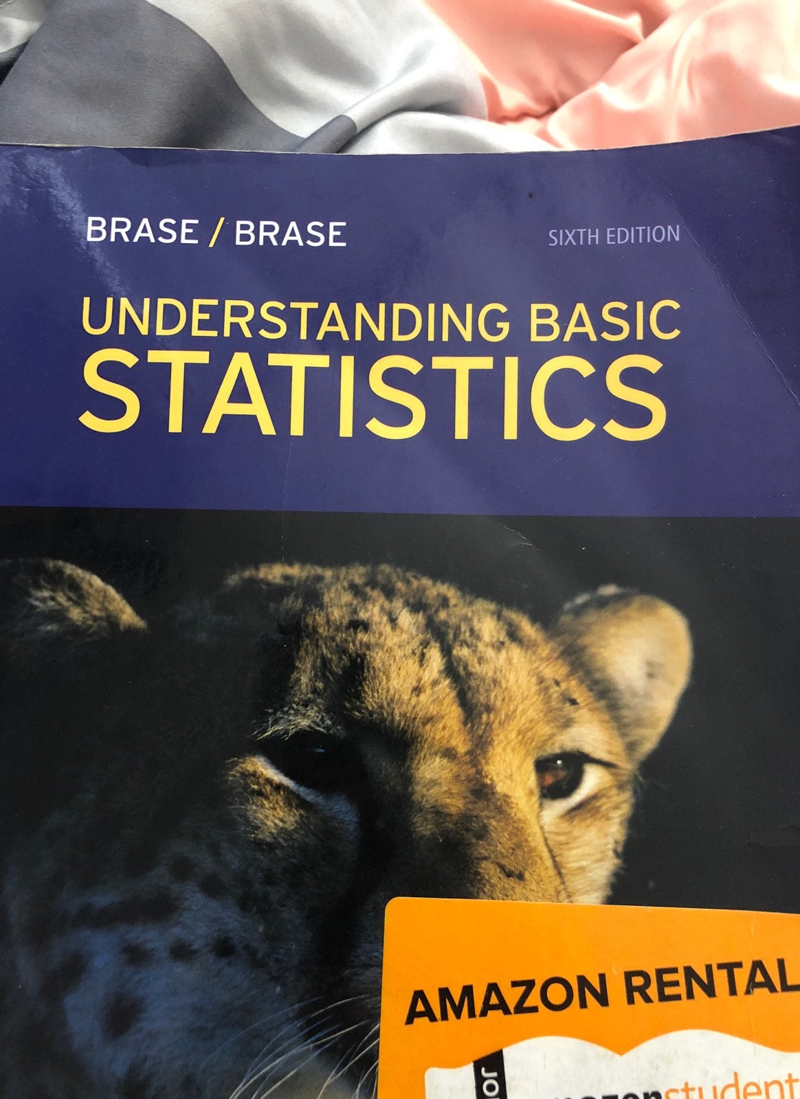 Understanding Basic Statistics