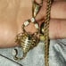 14k gold filled scorpion pendant 14k gold vermeil rope chain