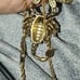 14k gold filled scorpion pendant 14k gold vermeil rope chain