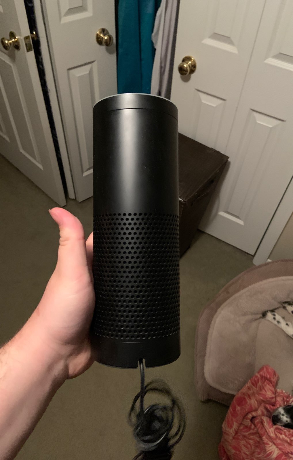Amazon echo