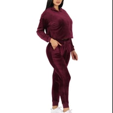 Womens Velour Track suit size large NWT
