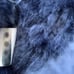 NWB UGG genuine shearling suede slipper