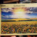 Puzzle Life Sunflower Field Tokyo 1000 Piece Jigsaw Puzzle