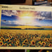 Puzzle Life Sunflower Field Tokyo 1000 Piece Jigsaw Puzzle