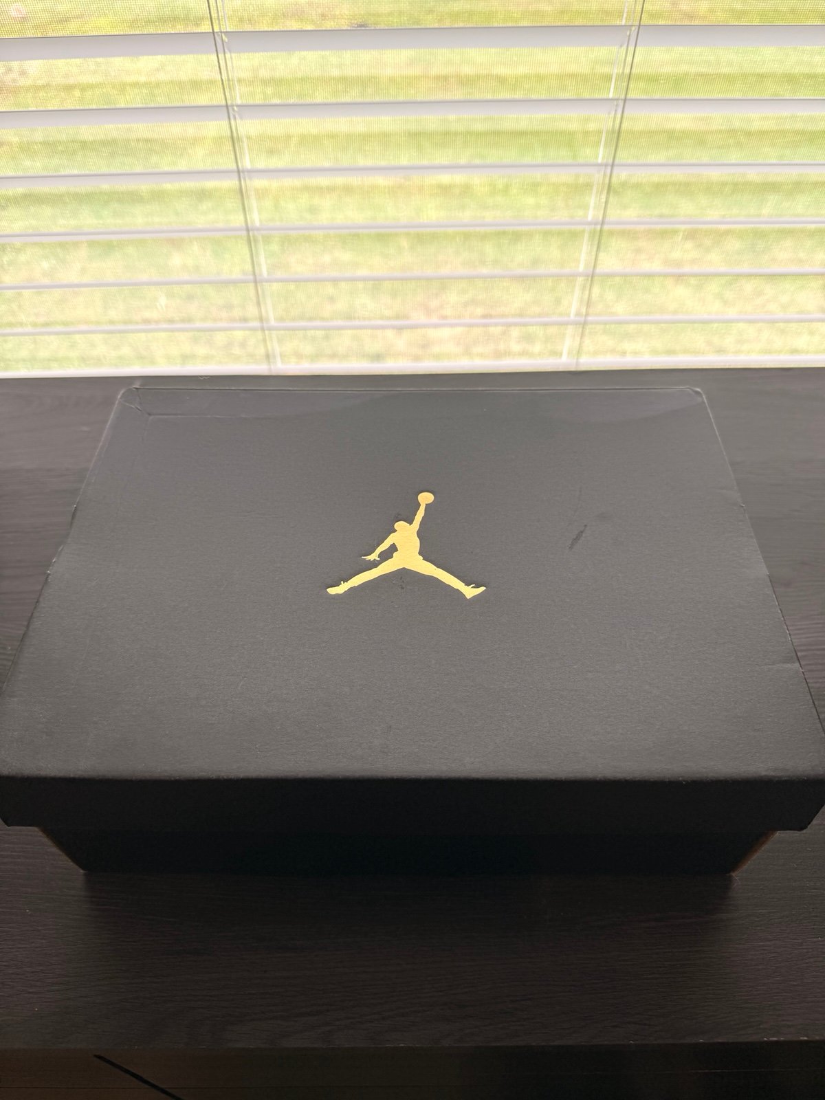 Nike Air Jordan 1 Mid