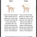 Wild One Dog & Leash in Blush
