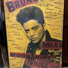 RARE (STYLE & COLOR) OFFICIAL 2014 BRUNO MARS - MOONSHINE JUNGLE TOUR POSTER, EC