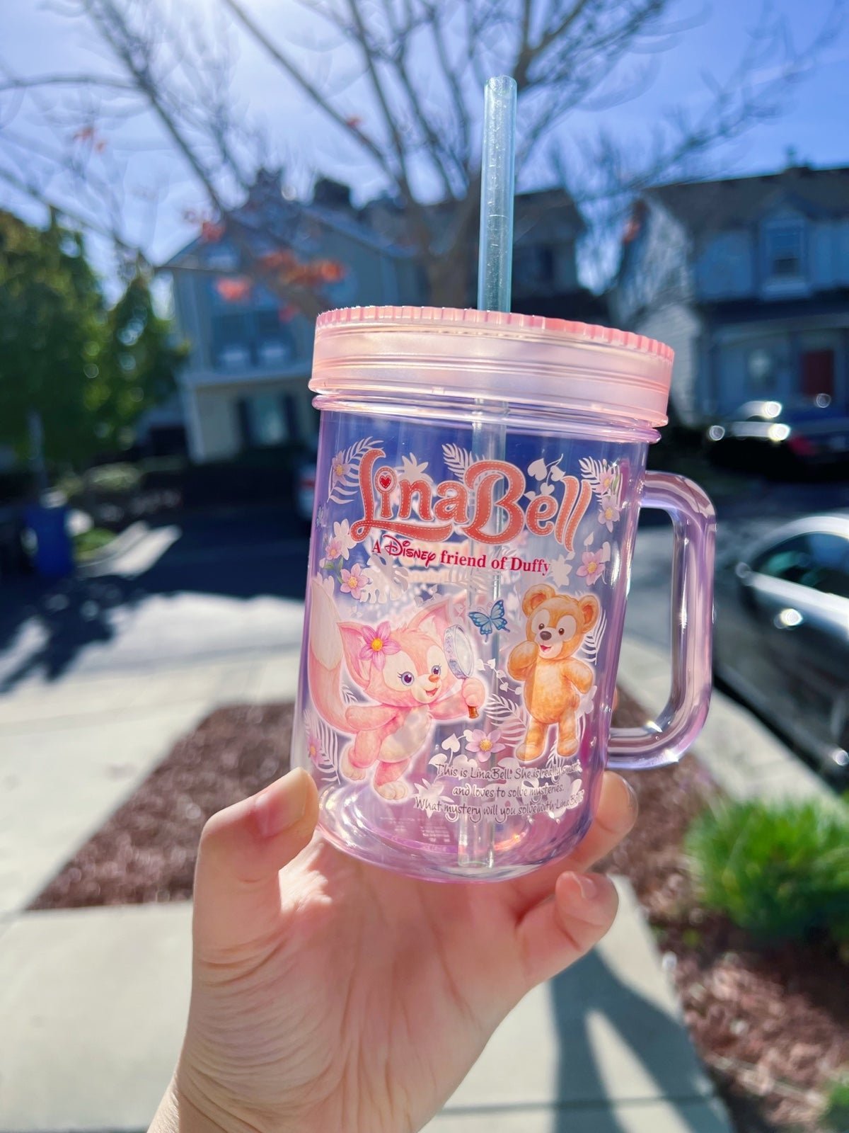 Tokyo Disney Duffy and linabell straw cup