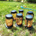 2 Pack Outdoor Hanging Solar Lanterns, Hummingbird Theme Vintage Glass Mason Jar