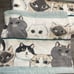 Super Cute Cat Bath Towels