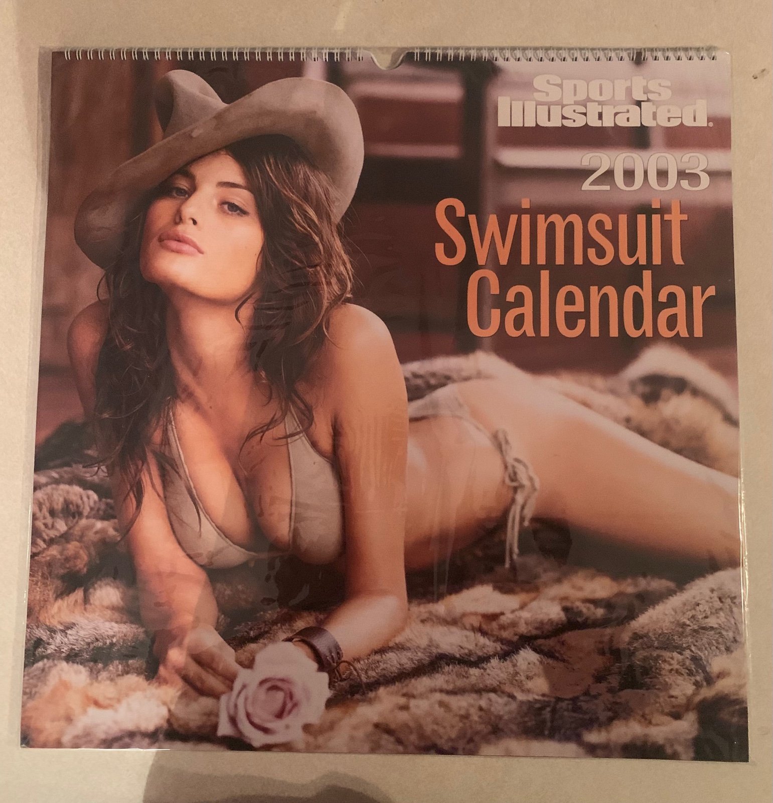 2003 Sports Illustrated Swimsuit Calendar, *New Sealed MH624)