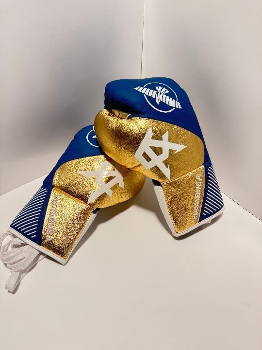 Personalized Canelo Logo Boxing Gloves | New Hayabusa