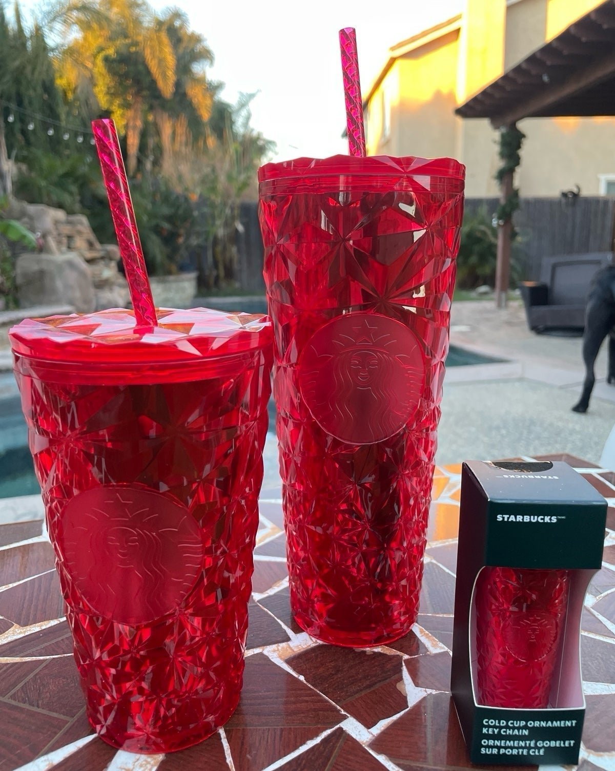 Starbucks Tumbler bundle with collectible Key Chain