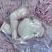 Reborn Crystal Awake KIT