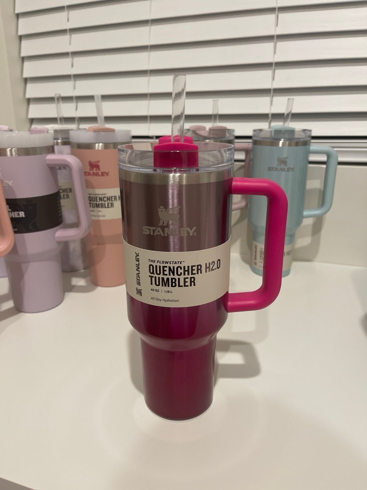 NWT Camelia Gradient 40 ounce