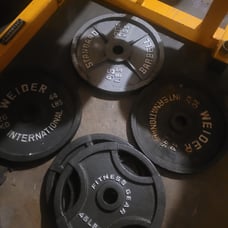 Home gym/ variety of Olympic and standard weight plates