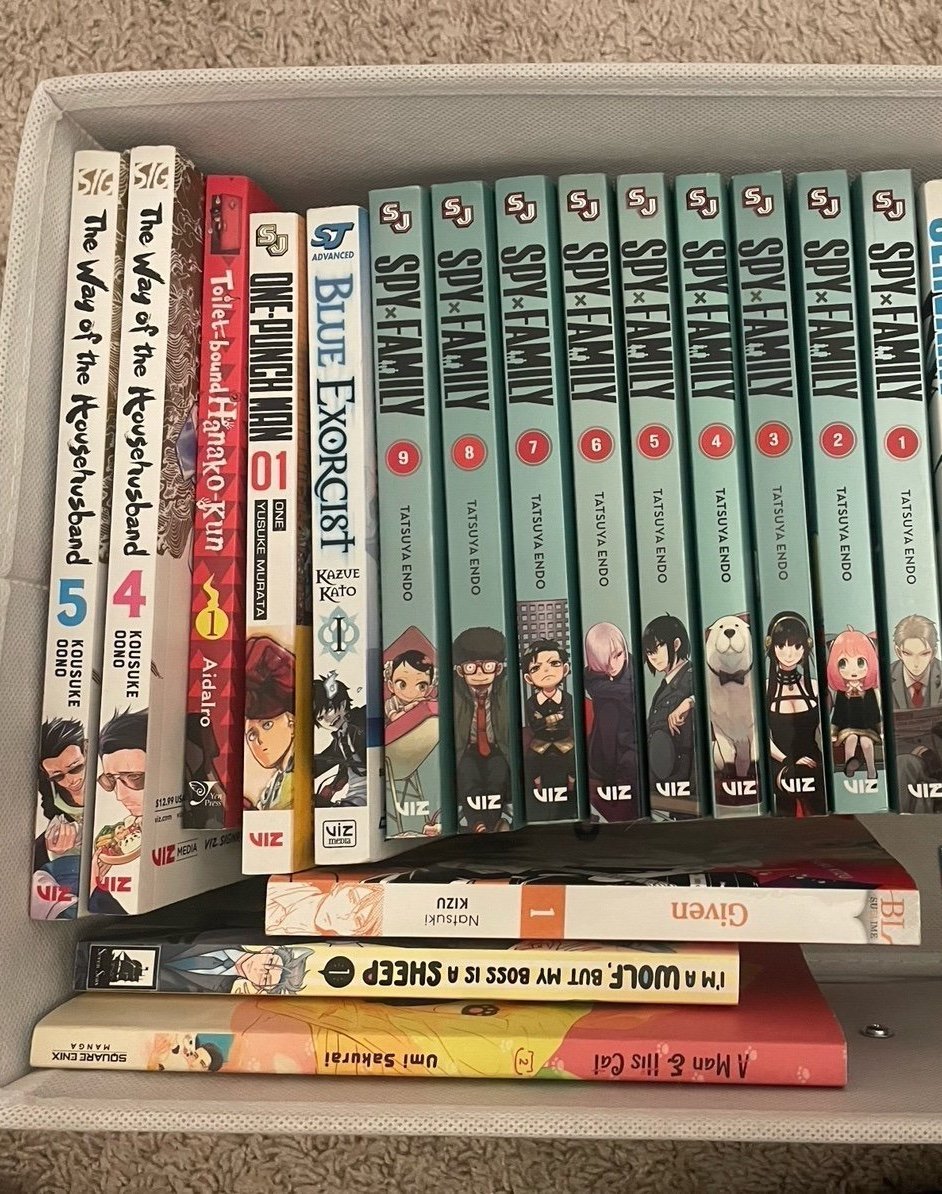 Manga Lot