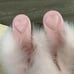 SLEEPER BRAND luxury Pink Feather Kitten Heel