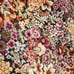 BEAUTIFUL truly one-of-a-kind handmade floral/botanical vintage tapestry