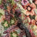 BEAUTIFUL truly one-of-a-kind handmade floral/botanical vintage tapestry