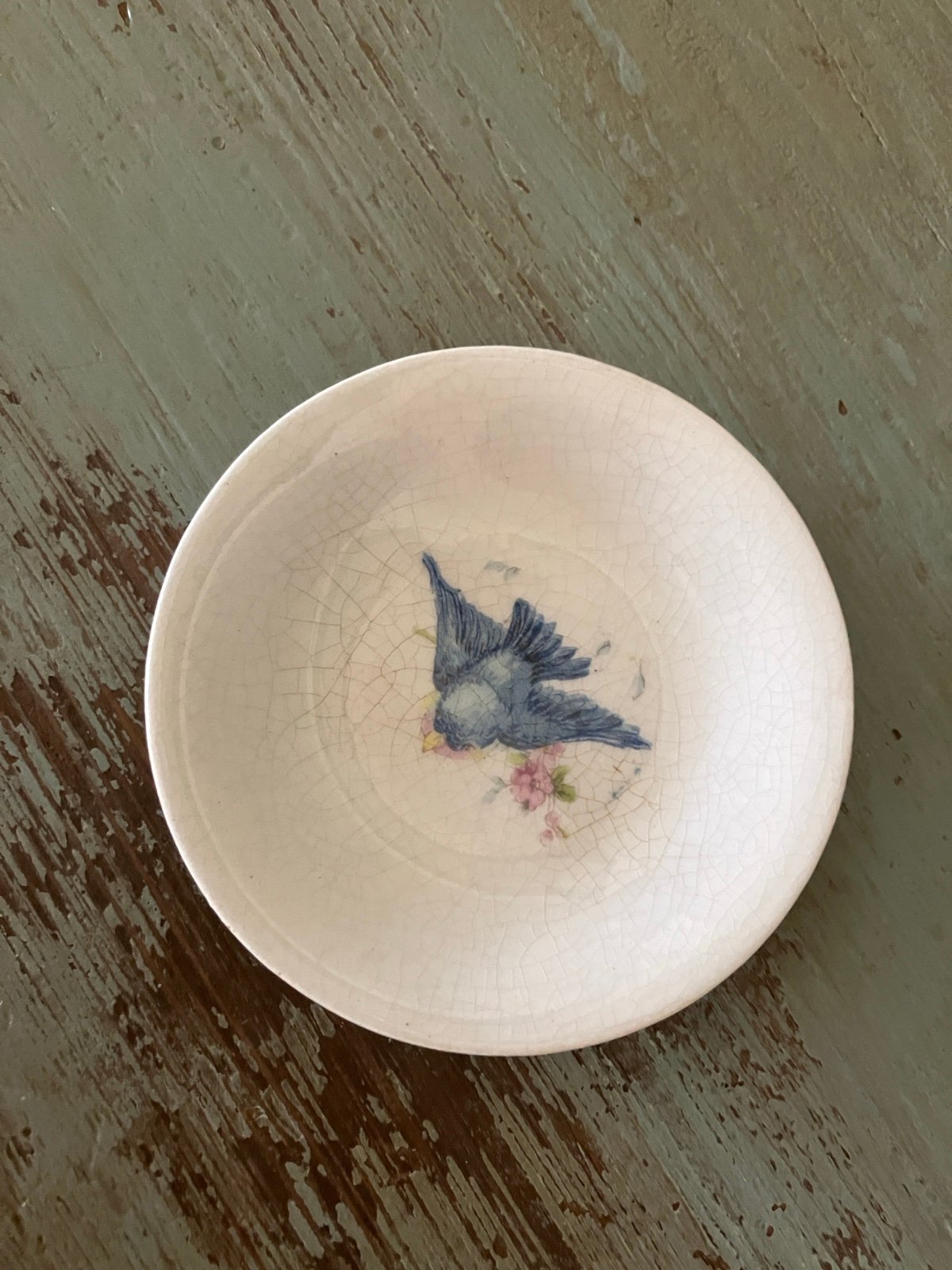 Super sweet 3 1/4” HTF Bluebird ironstone/porcelain butter pat!