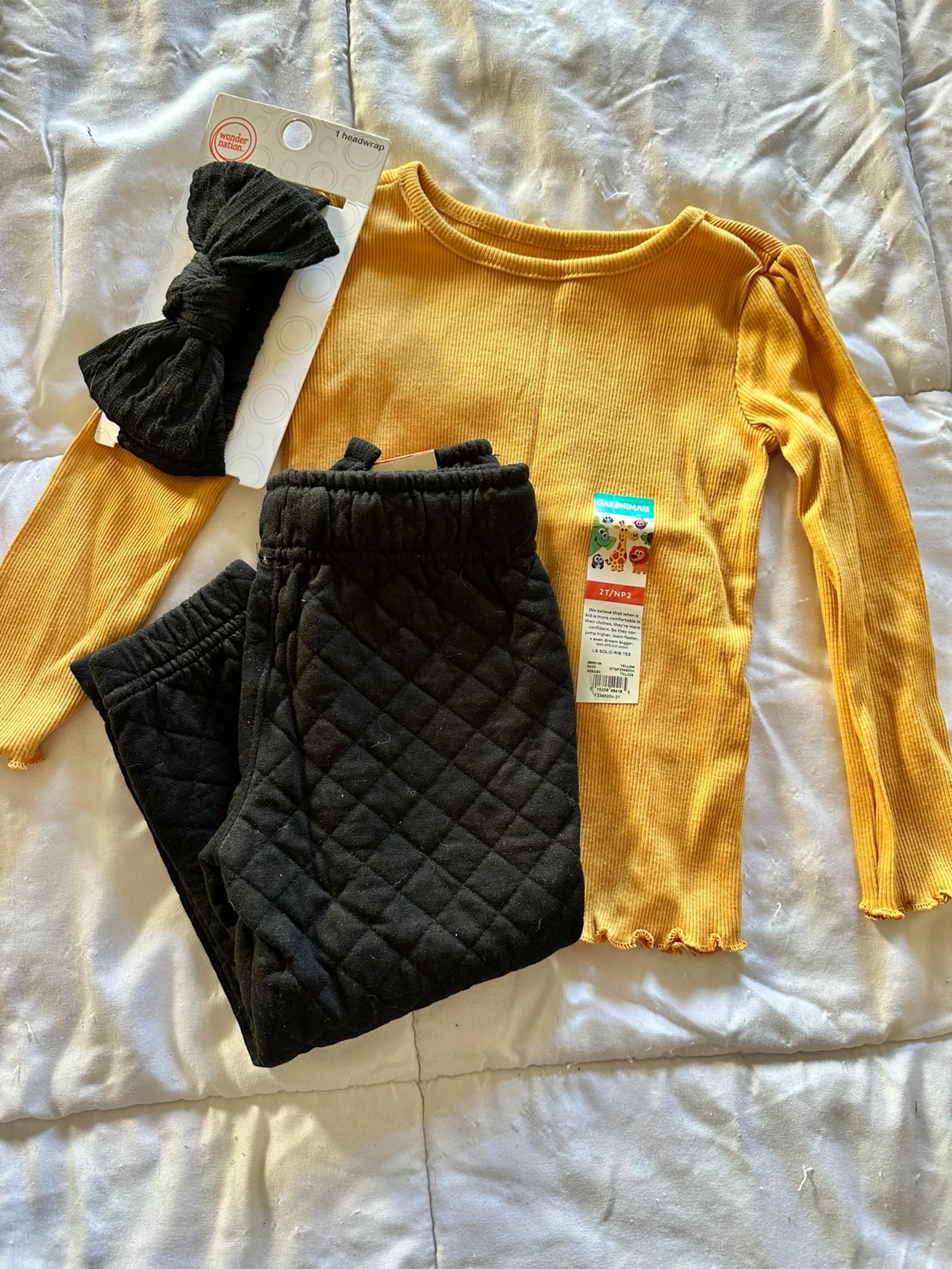 Garanimals Outfit NWT 2T