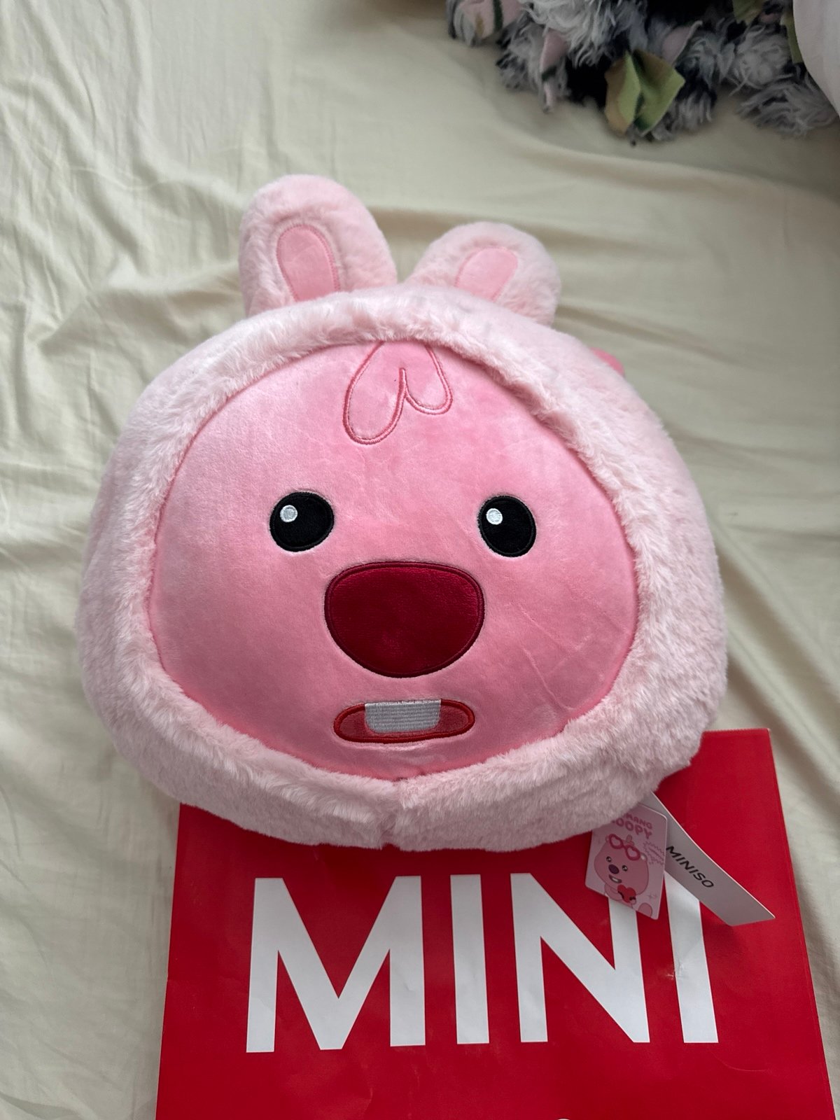 Miniso Loopy Plush pillow