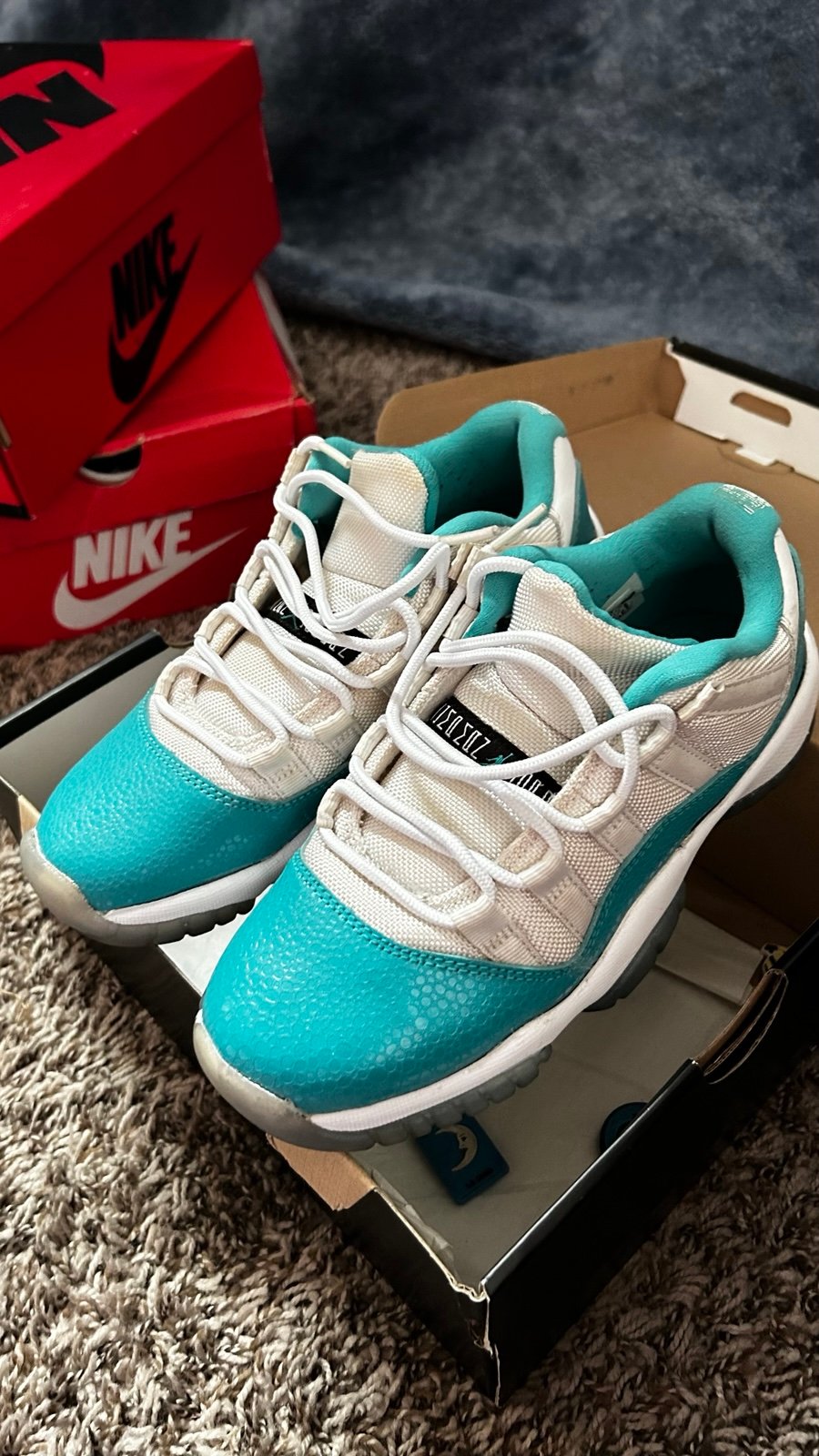 AIR JORDAN 11 RETRO LOW GG