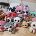 Ty Beanie Boos
