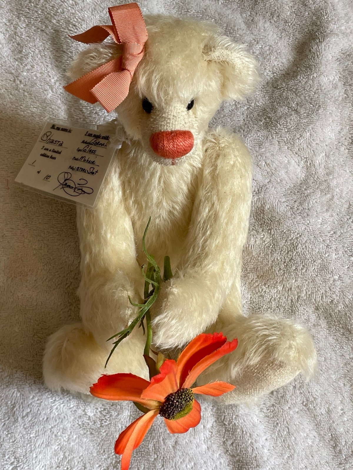 EDIT!!! Wild Creek bear 1 of 10& MORE!