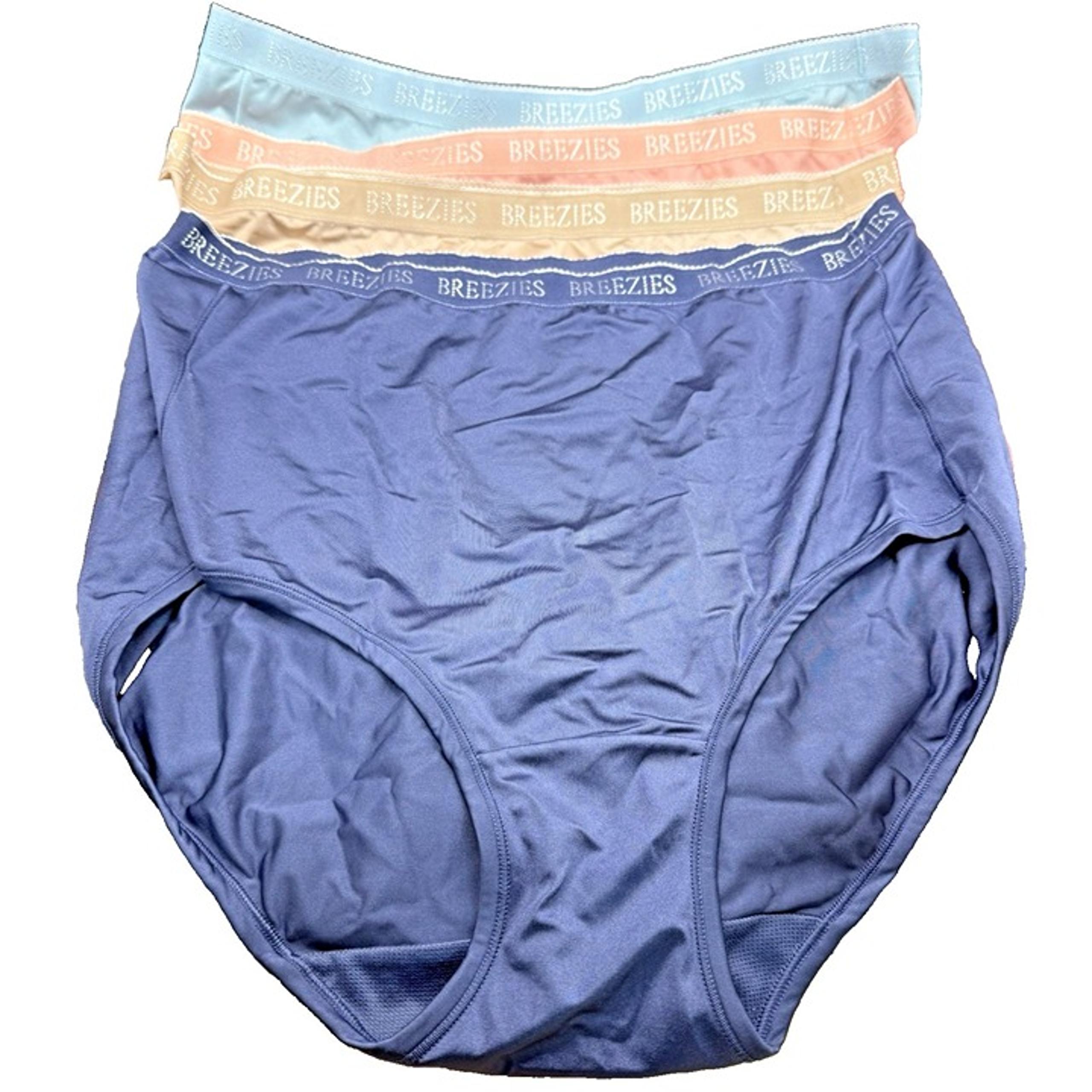Breezies Womens Brief Panties 2X 4-Pack Nylon Spandex UltimAir Underwear