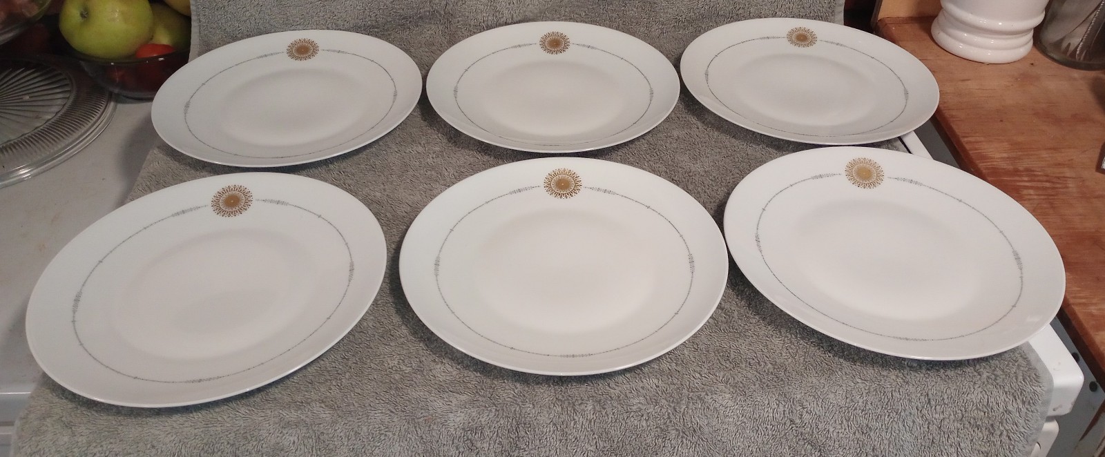 6 Rosenthal-Continental Midnight Sun Dinner Plates 10½ *EVC*