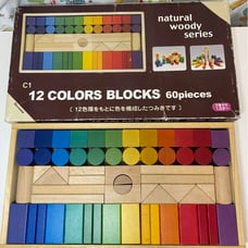 Building Blocks Set 12 Colors Wooden Toy