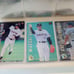 Calbee Pro Baseball Cards 1999