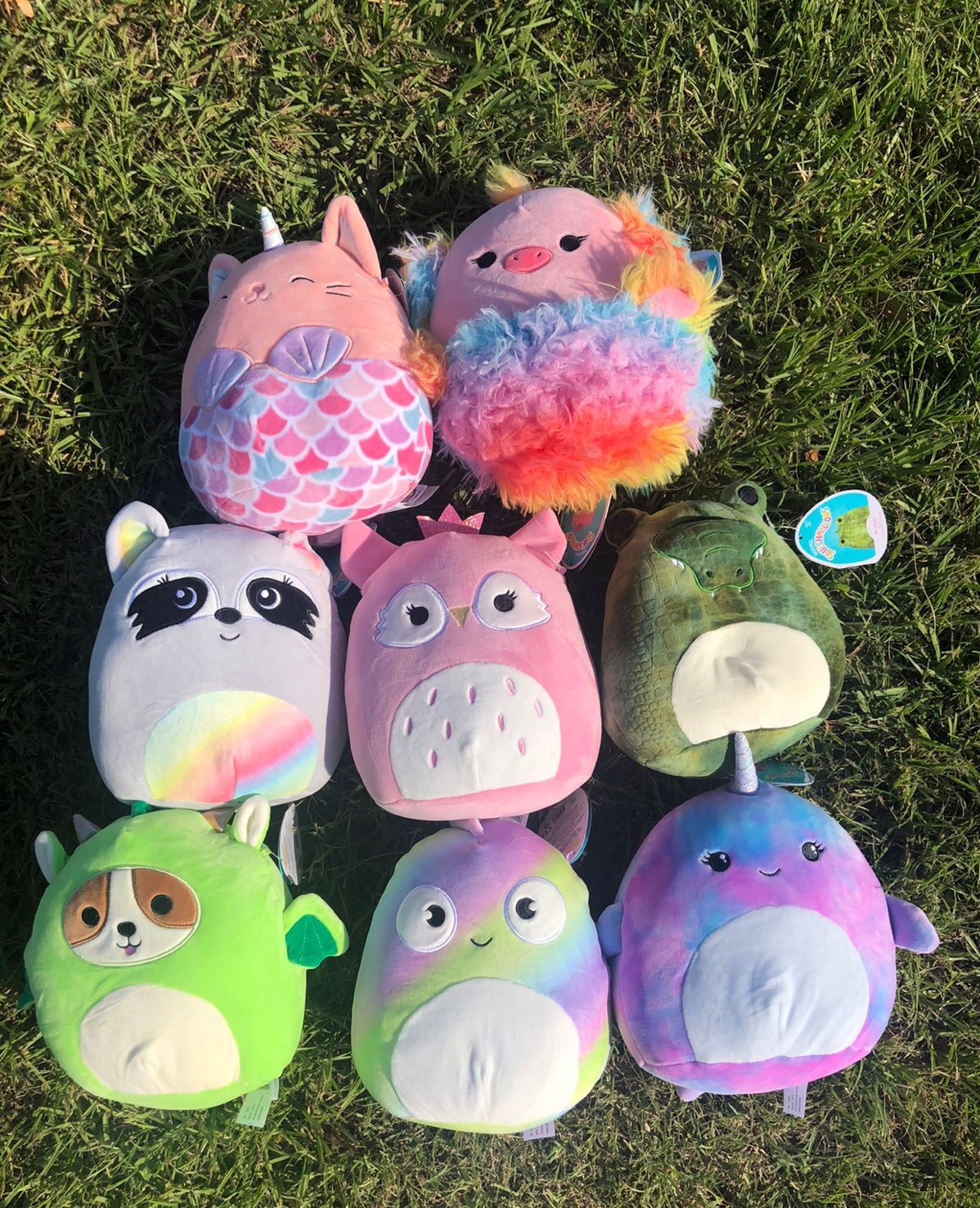 Squishmallow 8 Bundle