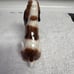 Royal Doulton Figurine