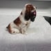 Royal Doulton Figurine