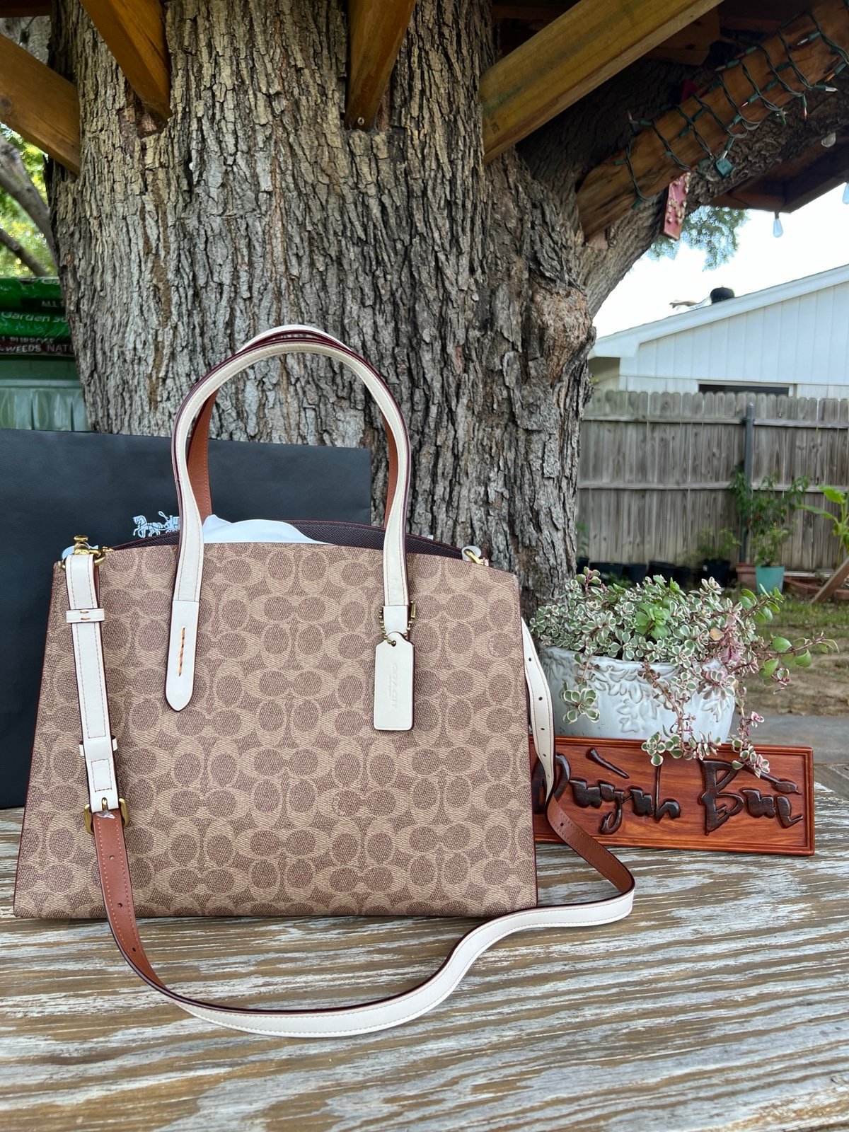 Coach Charlie Carryall In Signature Canvas