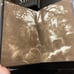 Atlas Six Signed Waterstones trilogy - Olivie Blake