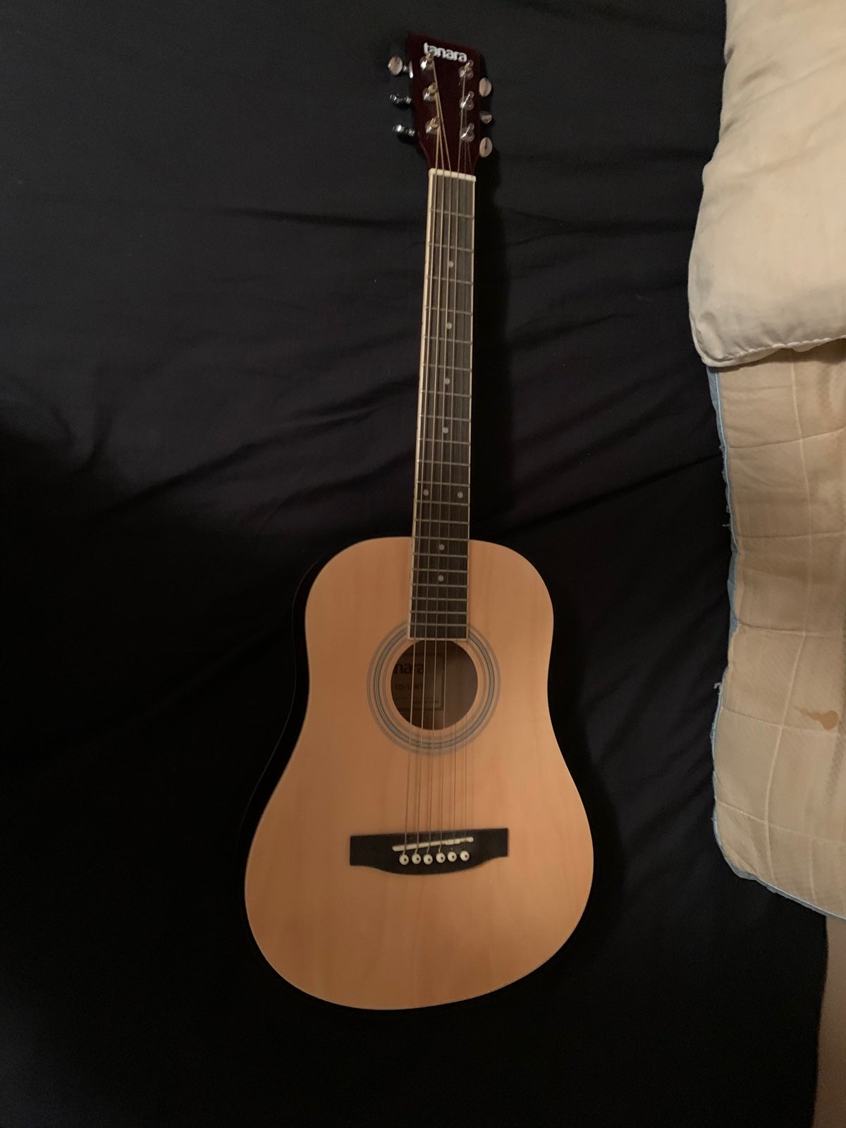 Acoustic Guitar