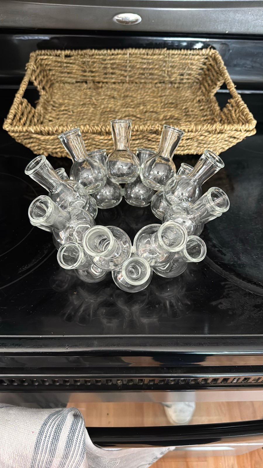Clear Glass Bud Vases Set for plant propagation or decoration