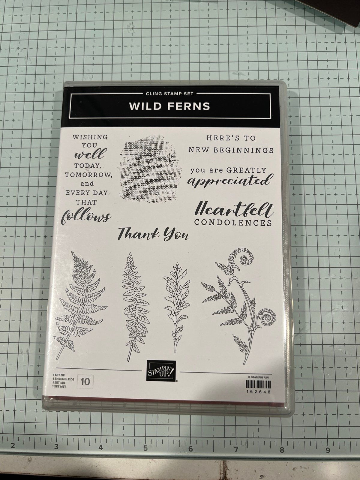 Wild Ferns Bundle
