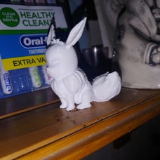Eevee decoration and skull decoration