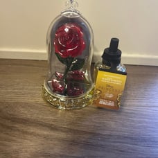 Bath and Body Works Disney Belle Wallflower Holder and Wallflower