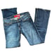 Guess Fancy Flare Low Rise Jeans