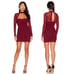 Lovers + Friends Nouvelle Mini Dress Merlot Burgundy Ruched Mesh Sz M