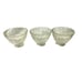 Antique Set Lot Of 3 Lamp Glass Crystal Shades Floral Pattern Frosted Bundle